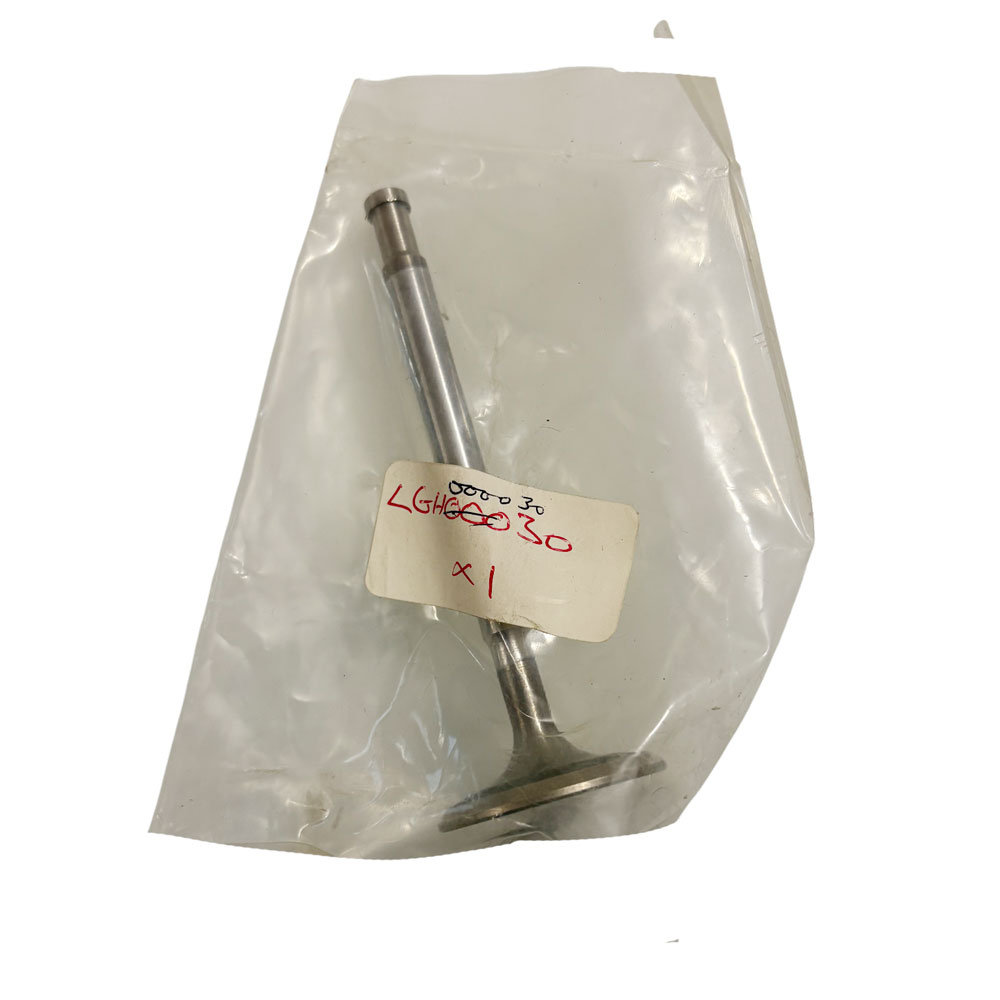 Inlet Valve LGH000030